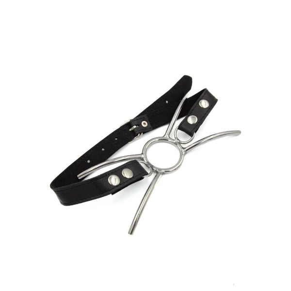 Mister B Spider Gag