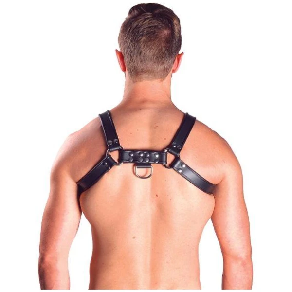 Mister B Leather Chest Harness Black-Black - Bilde 2