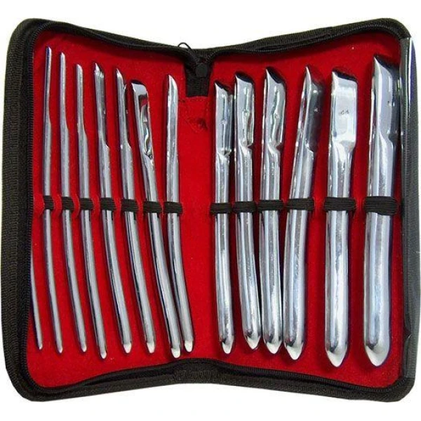 Hegar Dilators 14-Piece Set