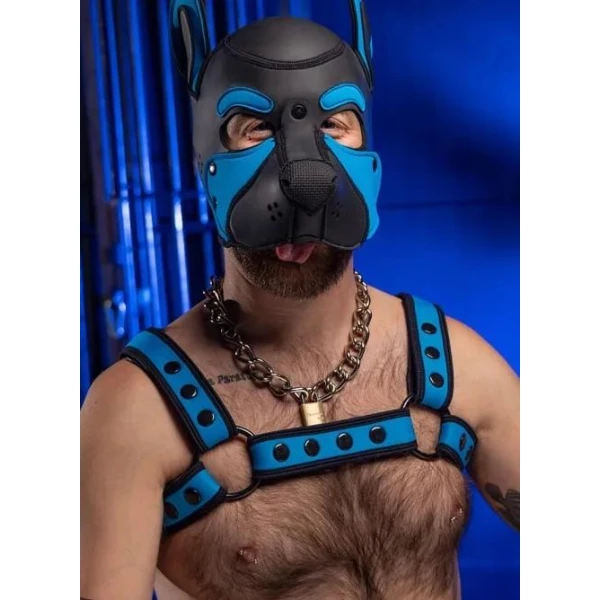 Neo Bold Color Bulldog Harness