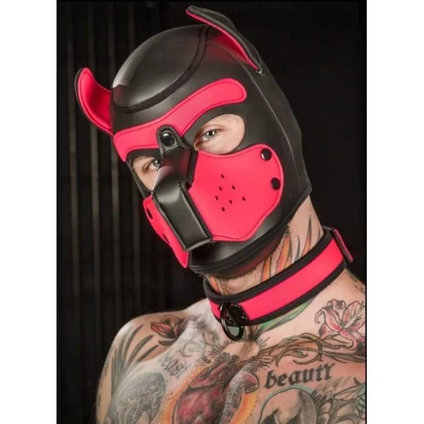 Neo Bold Color Puppy Collar