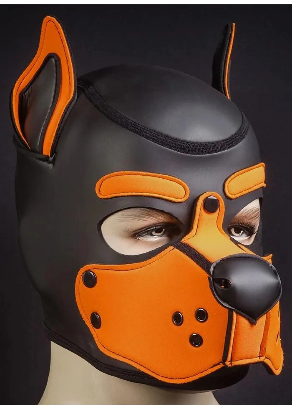 Neoprene K9 Hood (M-L-XL) - Sort/Oransje, M