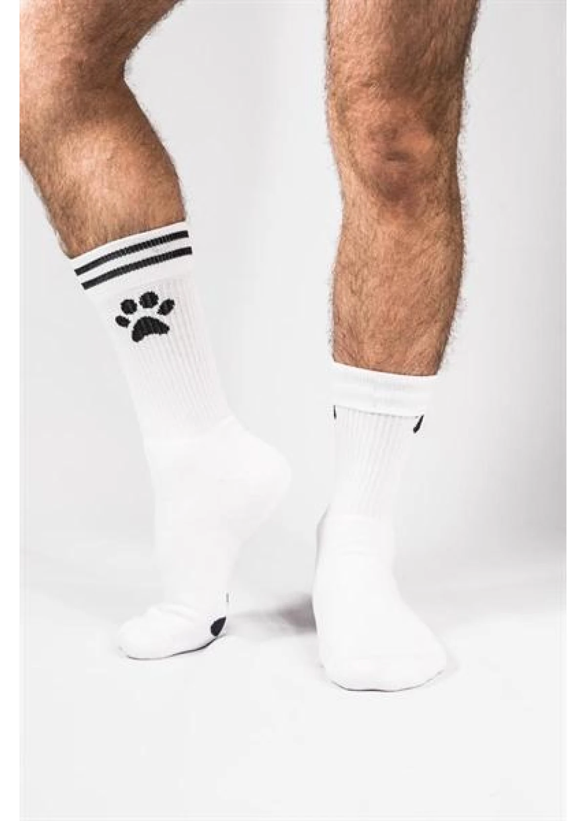 Sk8erboy PUPPY Socks