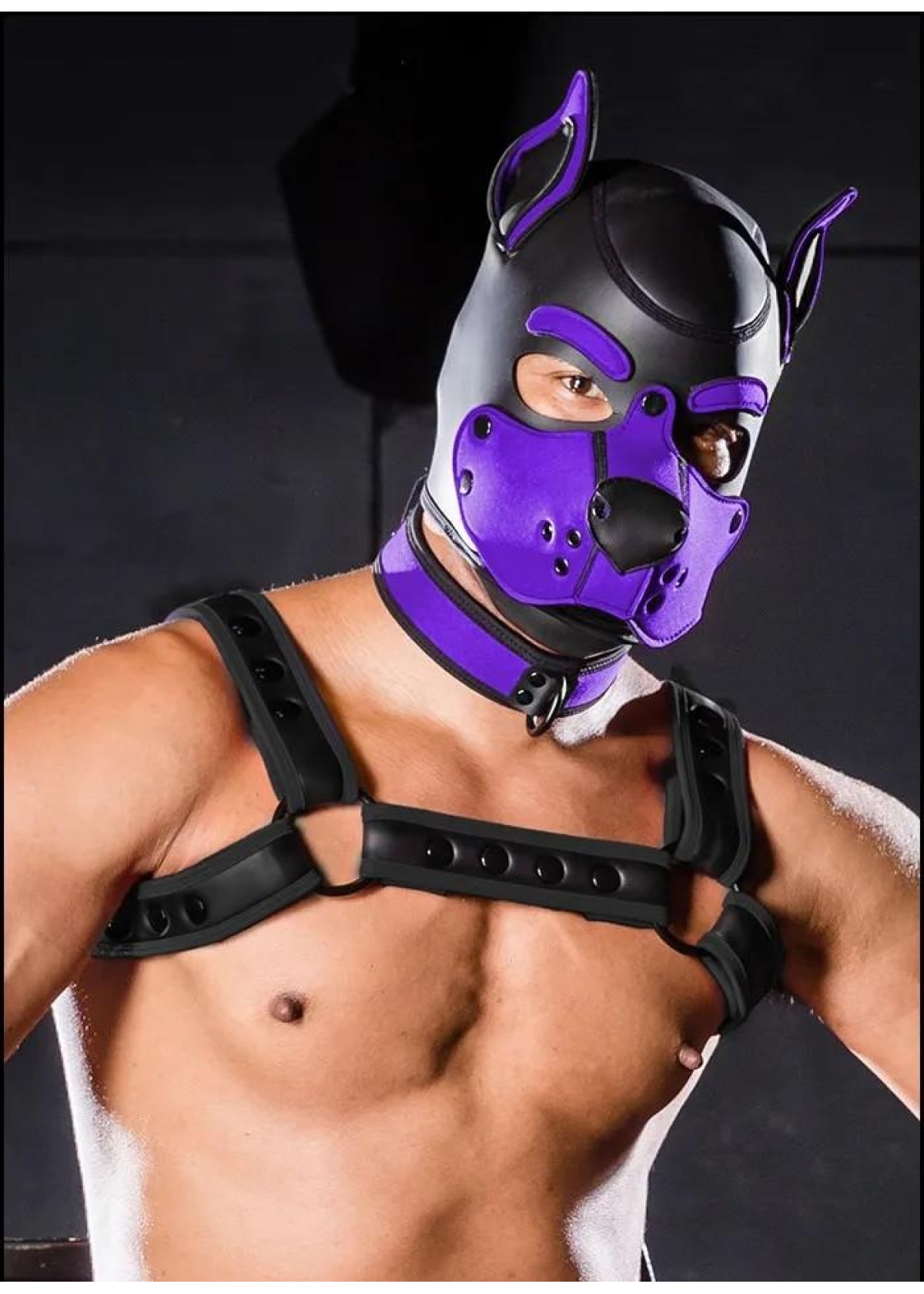 Neoprene K9 Hood (M-L-XL) - Sort/Lilla, L