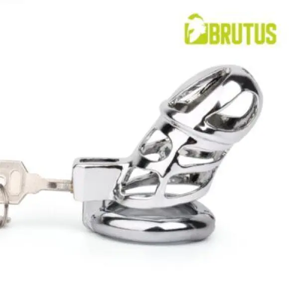 BRUTUS SPIDER - Steel Chastity Cage