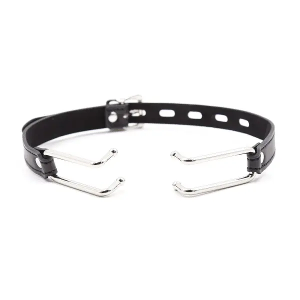 Mouth Gag with Hooks - Bilde 5