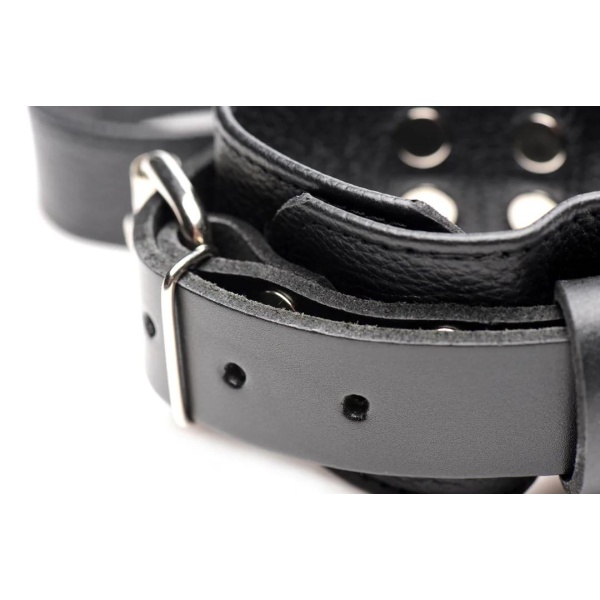 Leather Bed Restraint Kit - Bilde 6