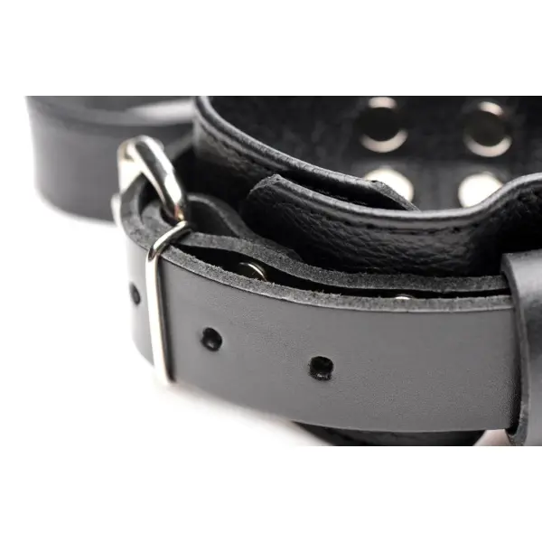 Leather Bed Restraint Kit - Bilde 6