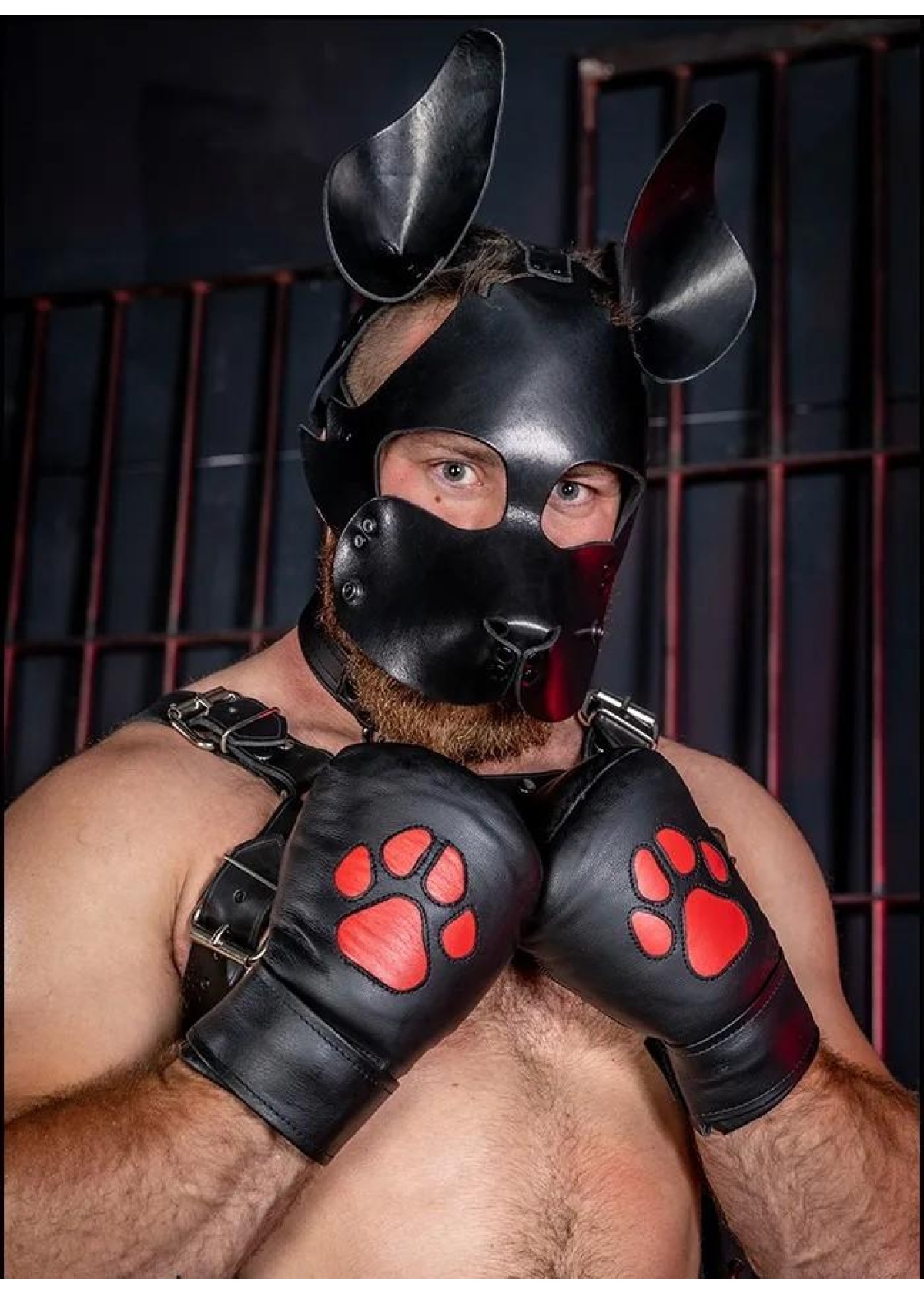 Leather Padded K9 Mitts