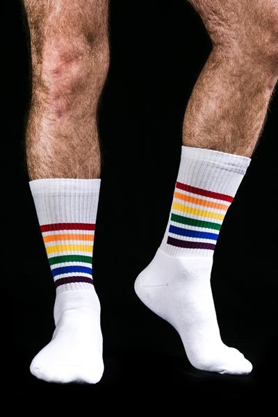 Sk8erboy PRIDE Socks