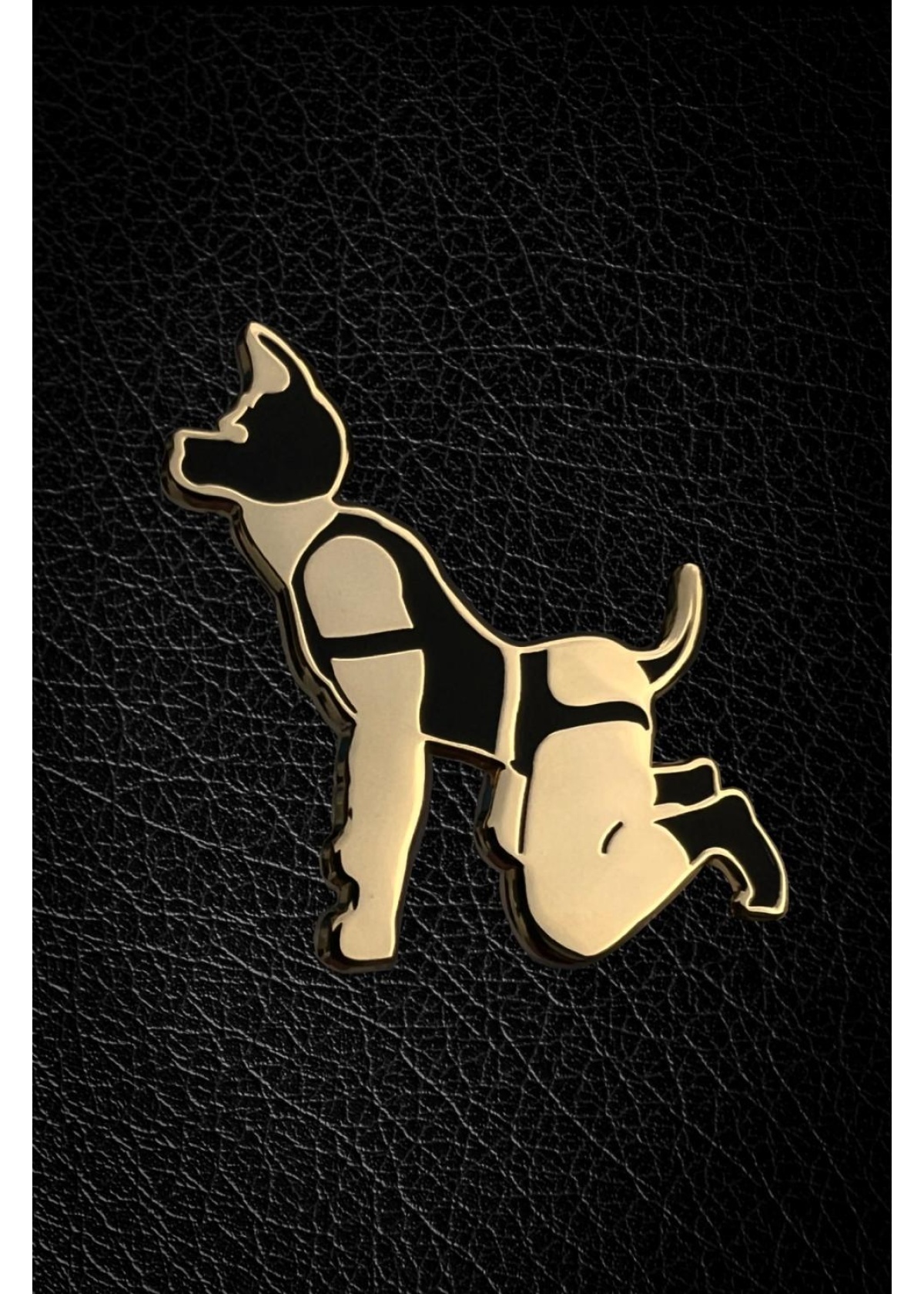 Master of the House Pin - PUPPY PLAY