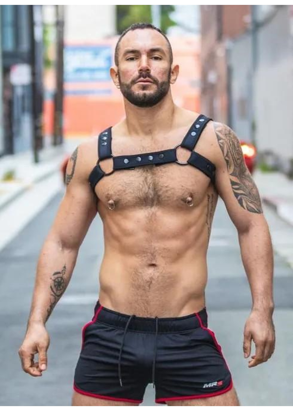 Neo Carbon Black Bulldog Harness