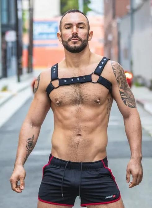 Neo Carbon Black Bulldog Harness