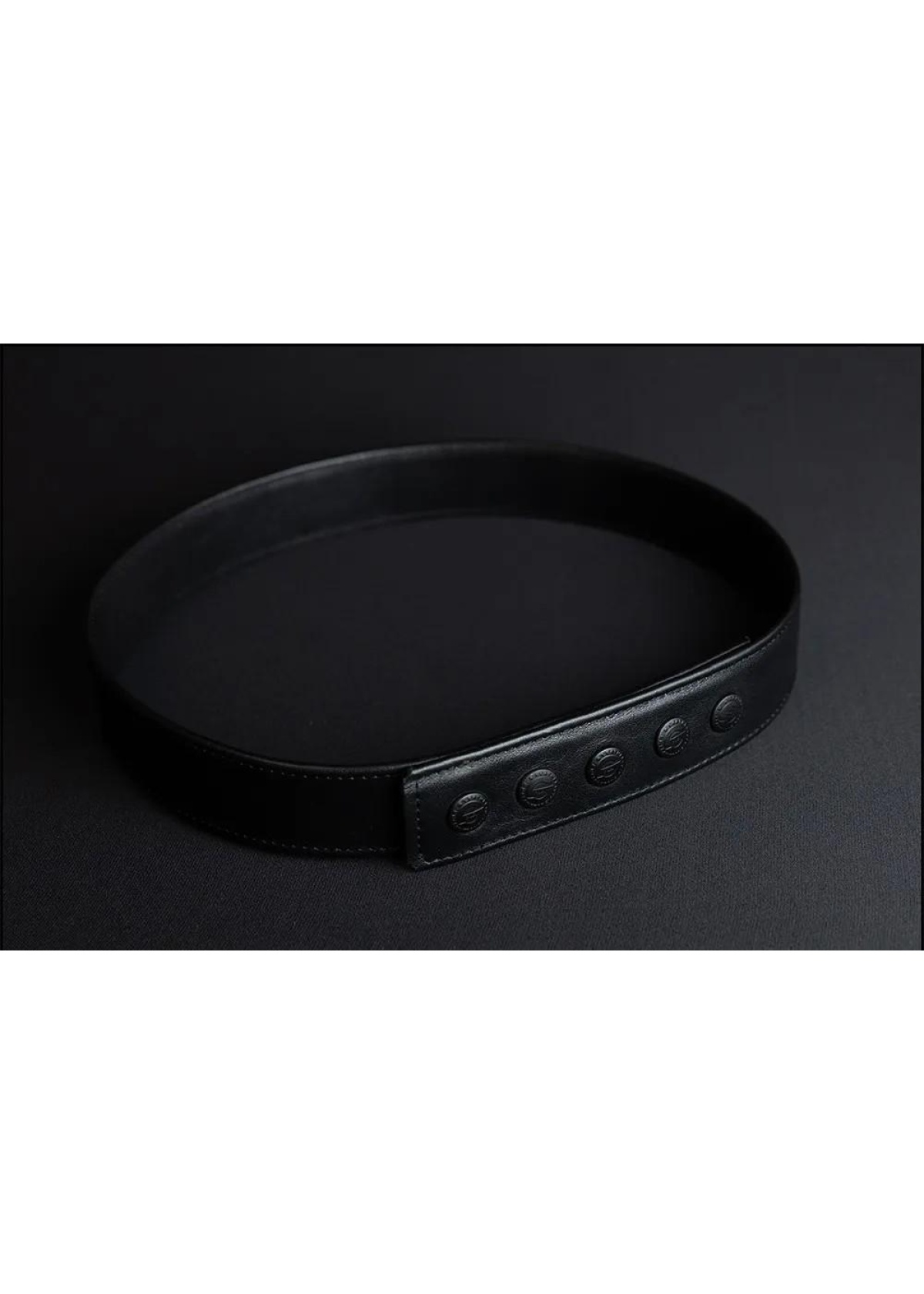 Show Tail & Holster Waist Strap