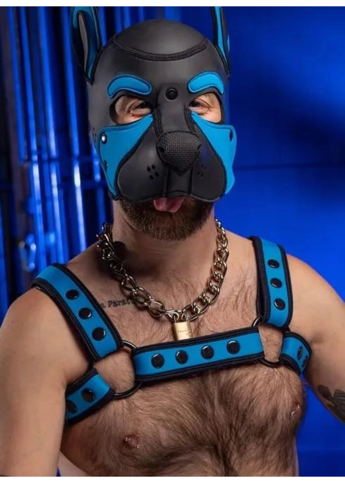 Neo Bold Color Bulldog Harness