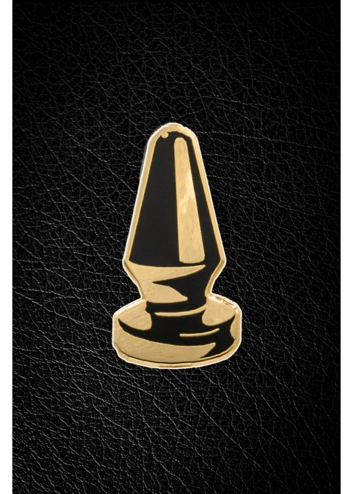 Master of the House Pin - PLUG