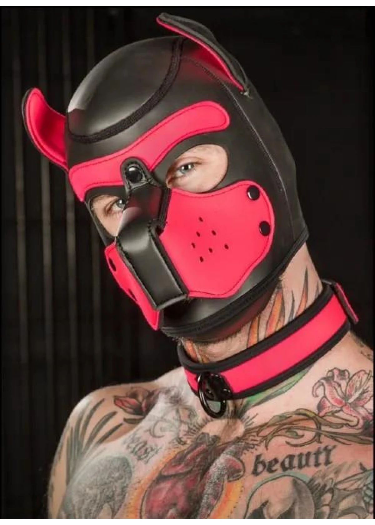 Neo Bold Color Puppy Collar