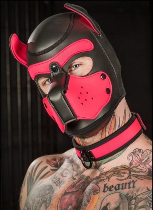 Neo Bold Color Puppy Collar