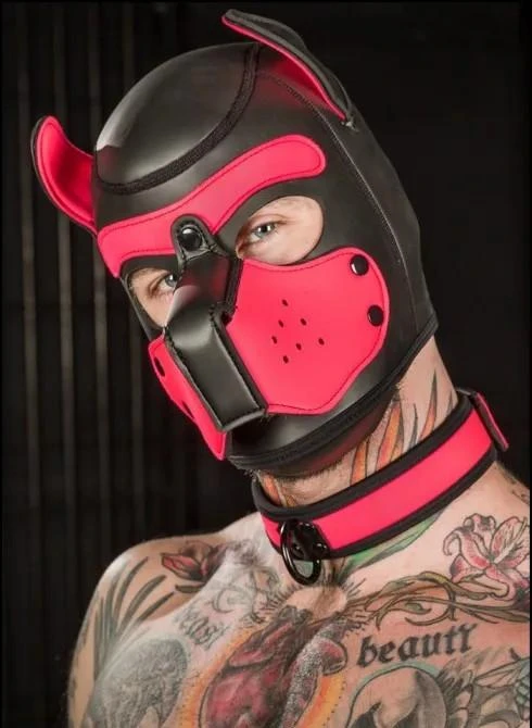 Neo Bold Color Puppy Collar