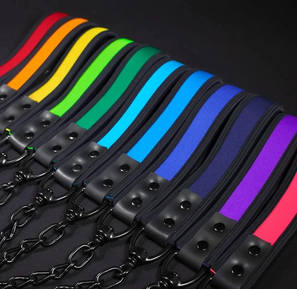 Neoprene Puppy Leash