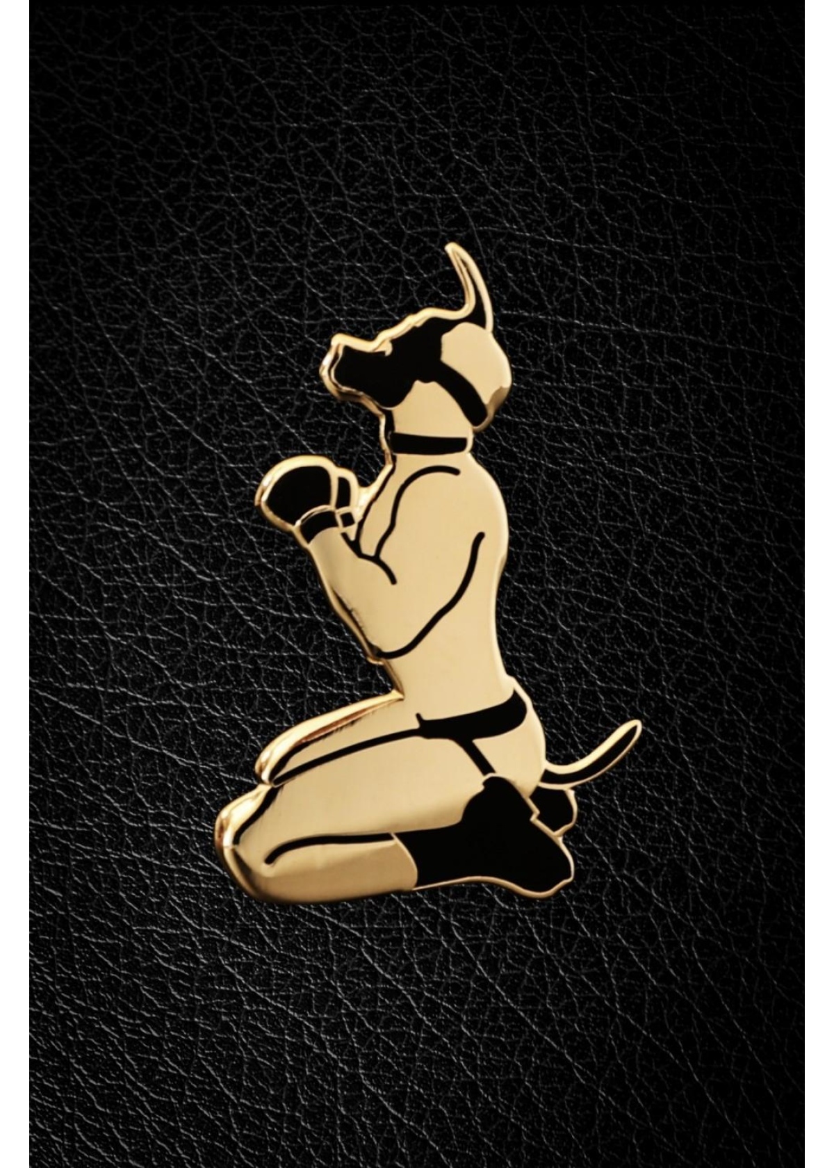 Master of the House Pin - PUPPY GOODBOY