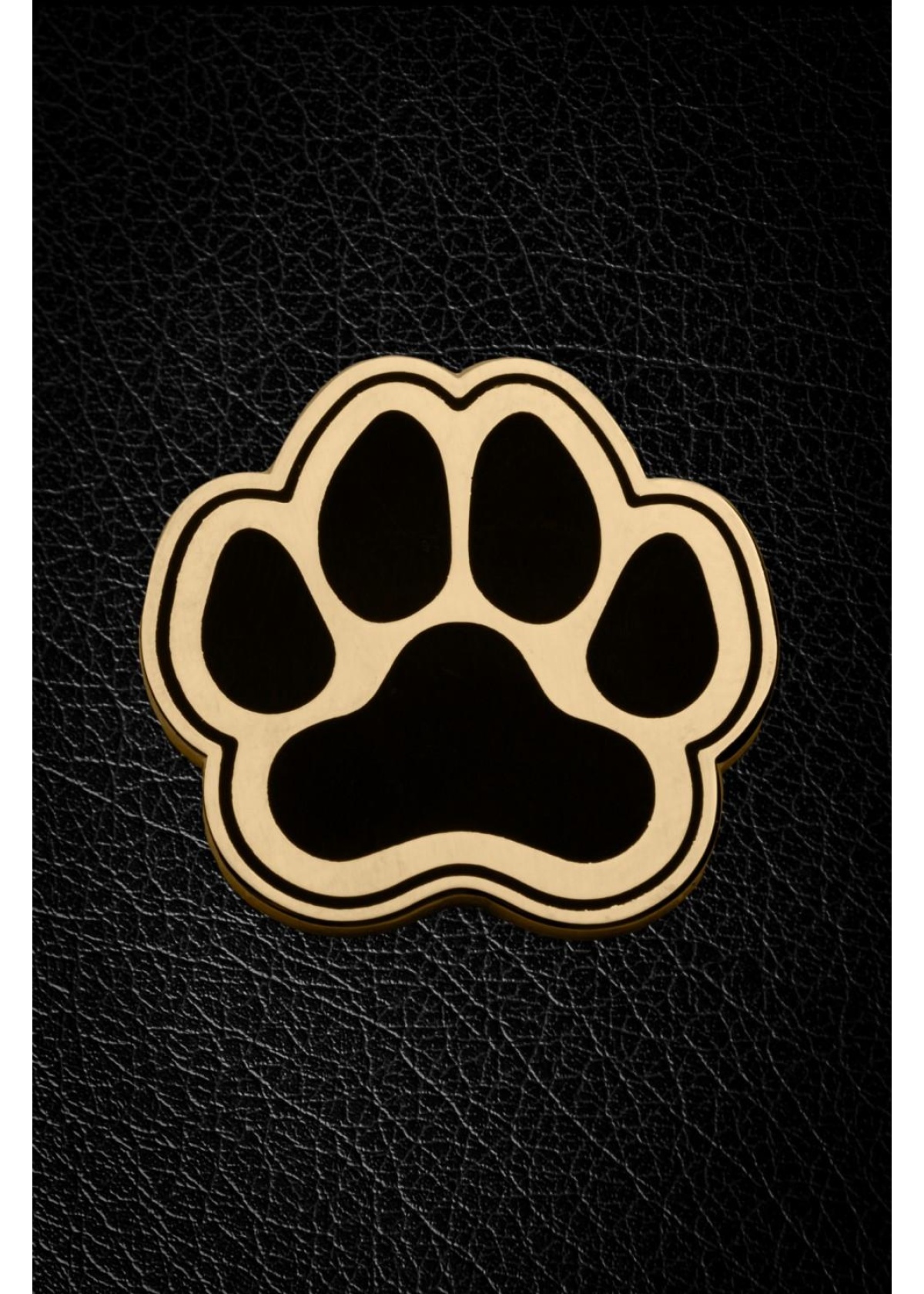 Master of the House Pin - PUPPY PAW