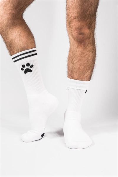 Sk8erboy PUPPY Socks