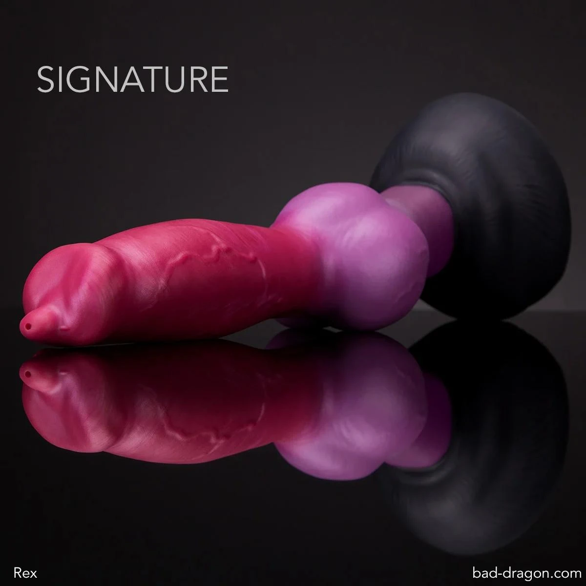 Rex® the German Shepherd - Signature - Medium