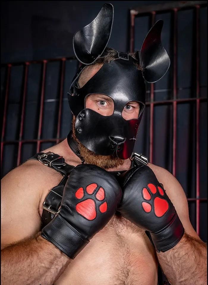 Leather Padded K9 Mitts