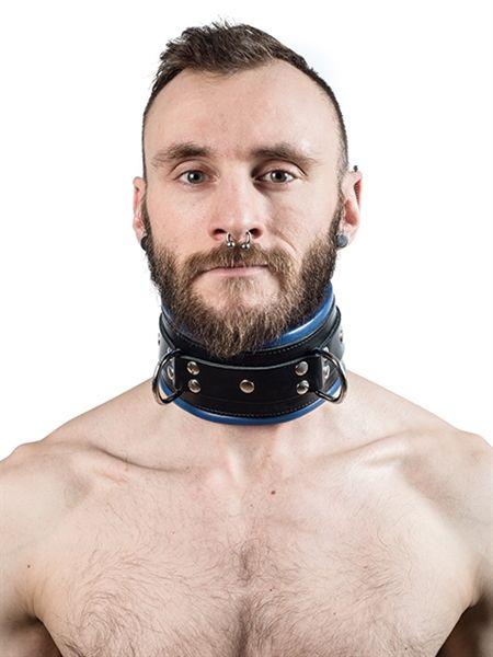 Mister B Leather Slave Collar Blue Padding