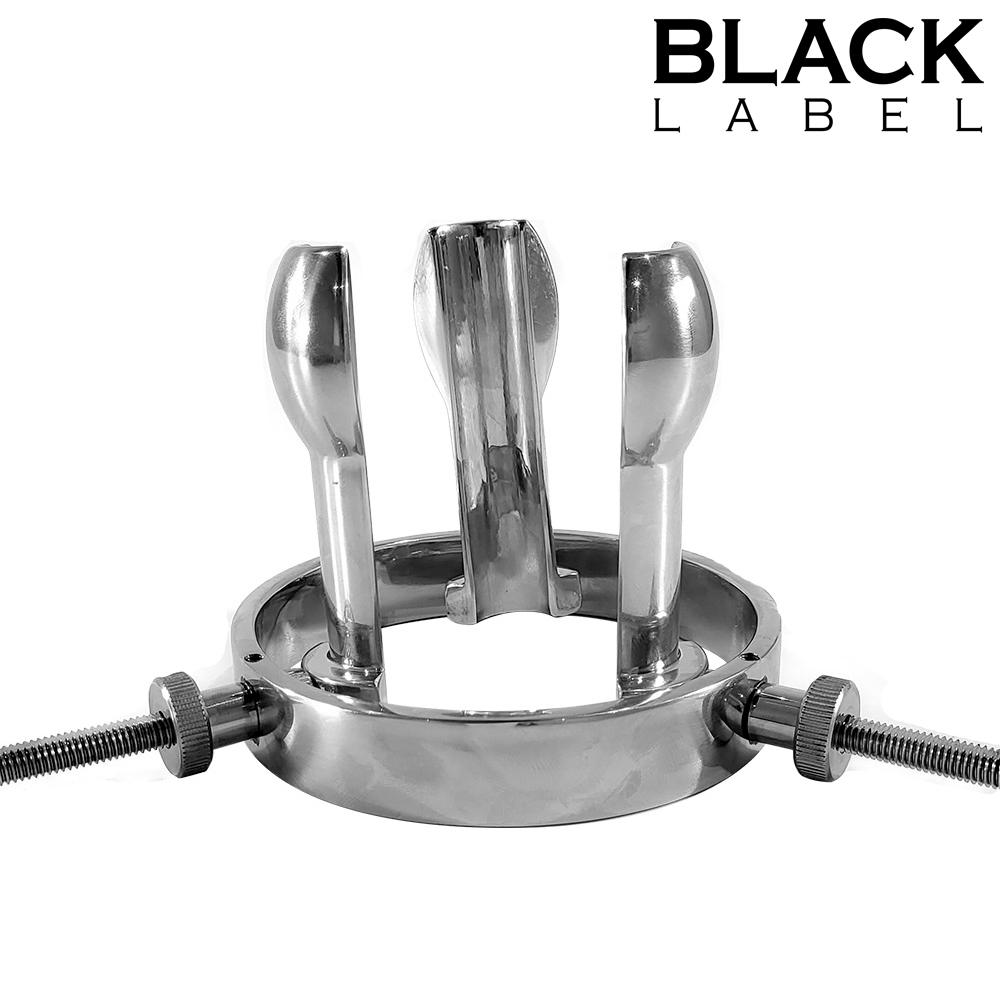 Stainless Steel Anal Plug Hole Expander