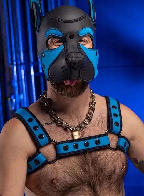 Neo Bold Color Bulldog Harness