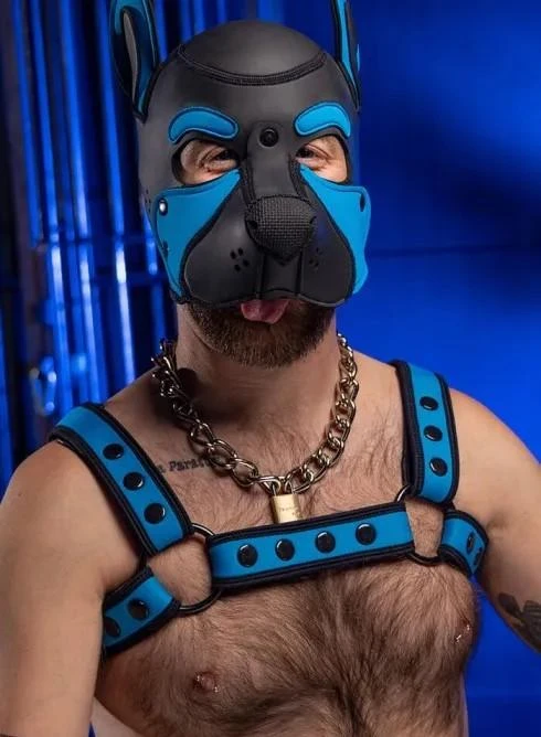 Neo Bold Color Bulldog Harness