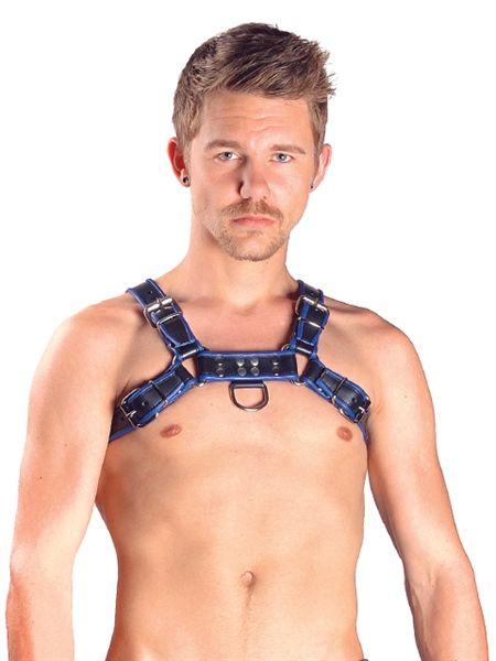 Mister B Leather Chest Harness Black-Blue
