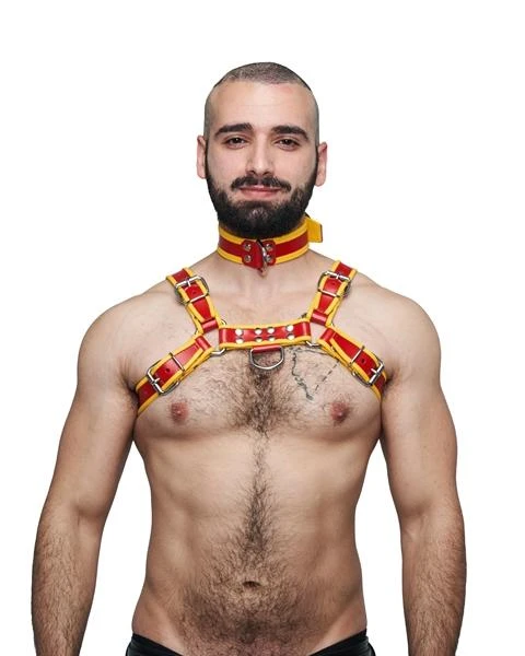 Mister B Leather Circuit Biceps Band - Red Yellow
