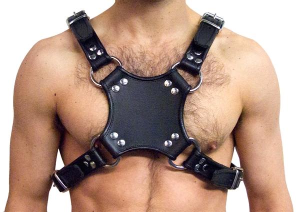 Mister B Leather Walking Harness Black-Black