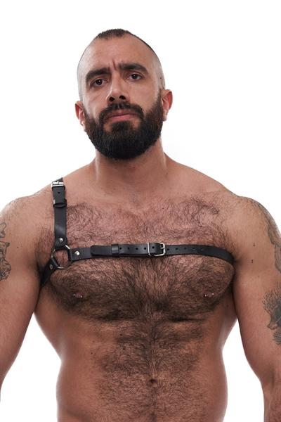 Mister B Serve Leather Style Harness Black