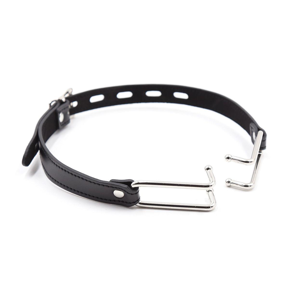 Mouth Gag with Hooks