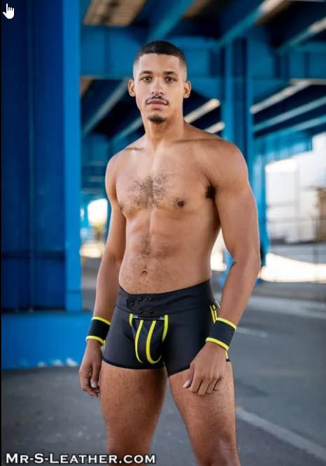 FuckGear Chap Shorts