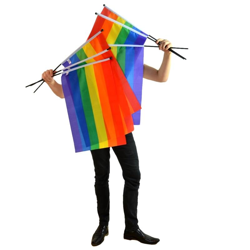 Rainbow flag on a pole medium size