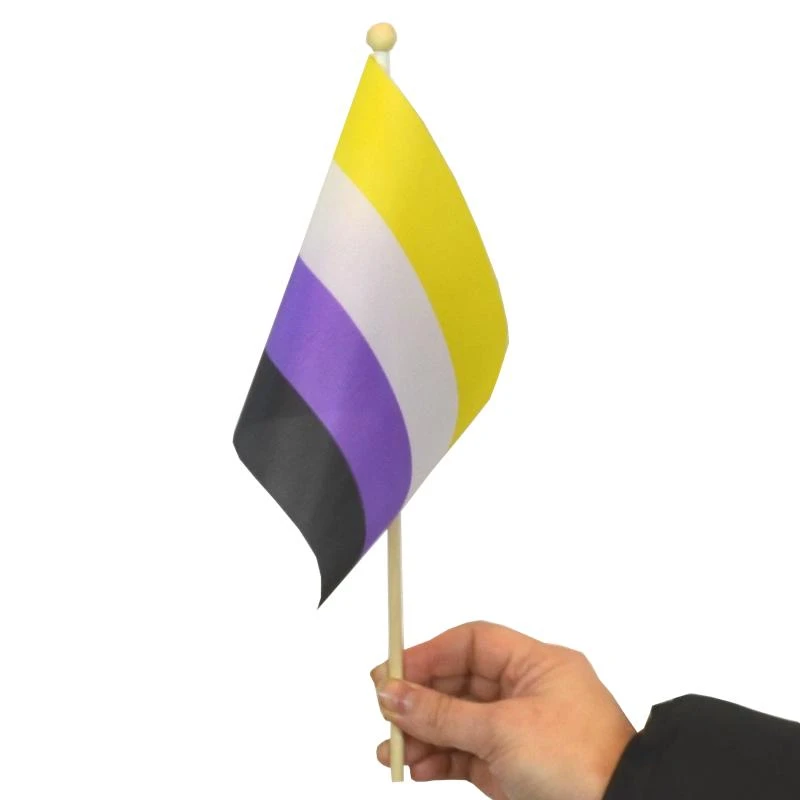 Non-binary flag mini on stick
