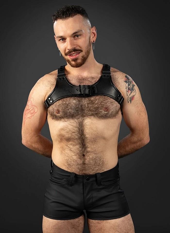 Centurion Harness 2.0