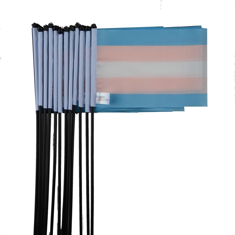 Transgender flag on a stick mini