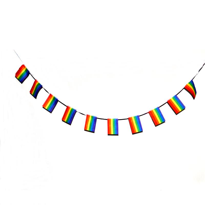 Pride flag bunting - Micro (4m)