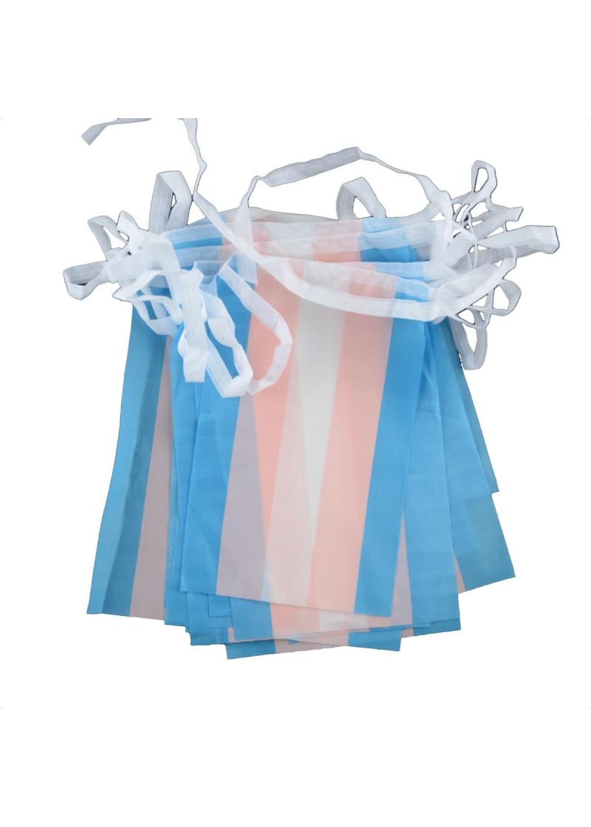 Transgender flag bunting - Mini (6,6m)
