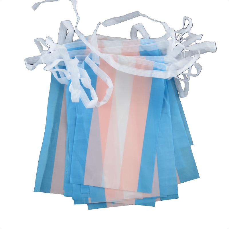Transgender flag bunting - Mini (6,6m)