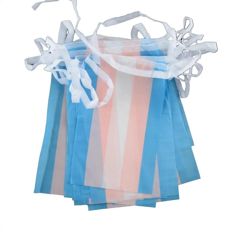 Transgender flag bunting - Mini (6,6m)