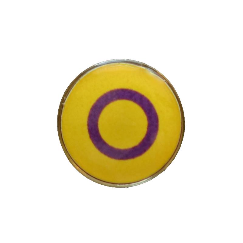 Pins with Intersex flag