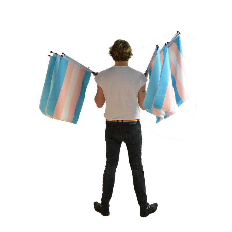 Transgender flag on a stick medium size