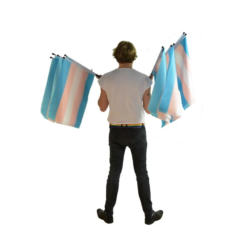 Transgender flag on a stick medium size